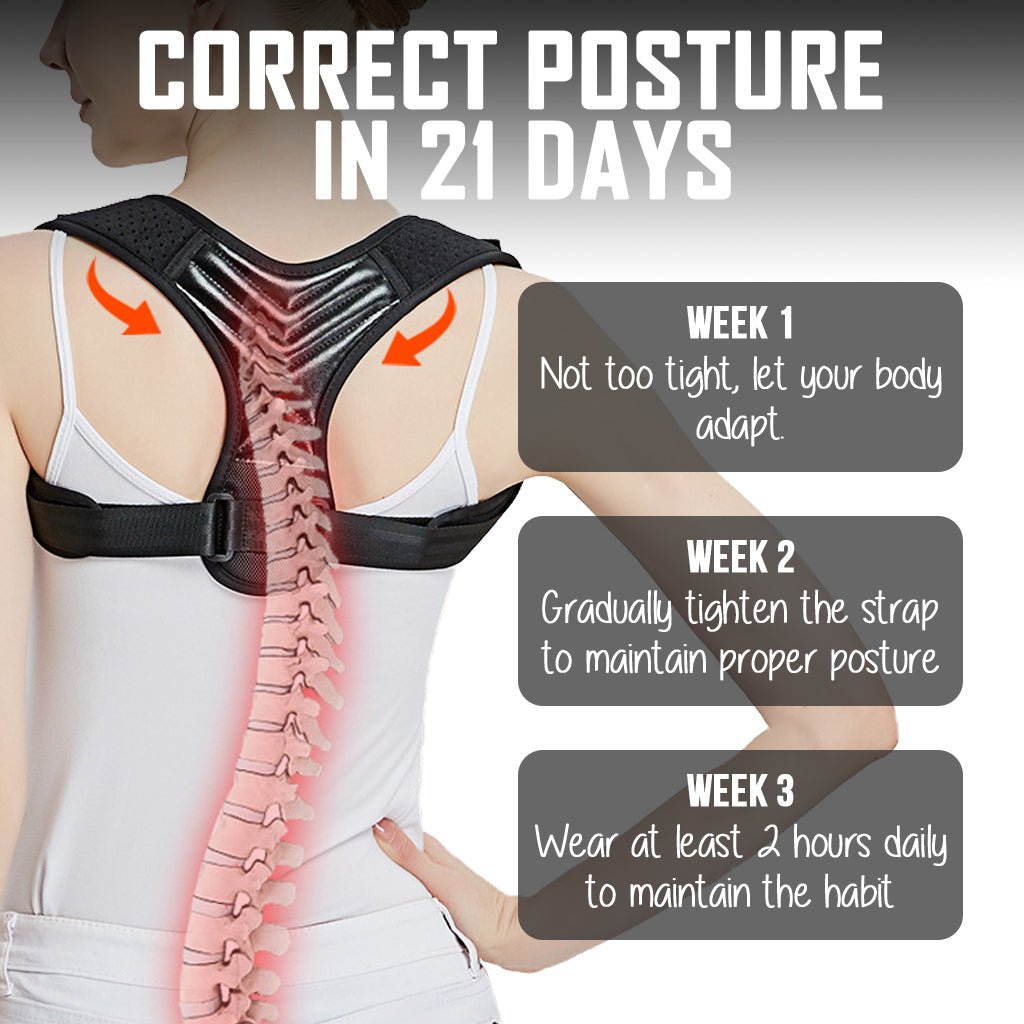BackSupport™ - iamlazy.store
