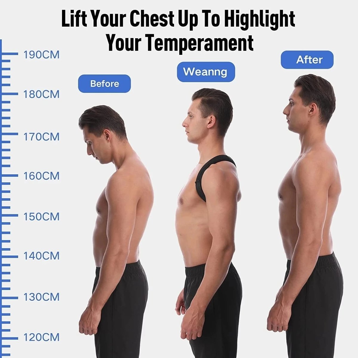 BackSupport™ - iamlazy.store